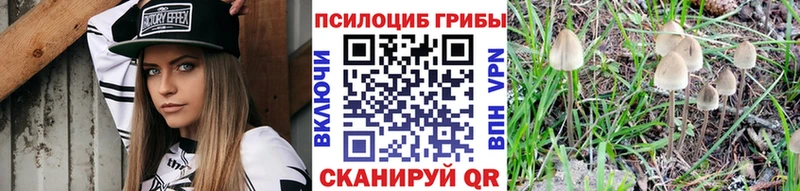 hydra зеркало  Озёры  Галлюциногенные грибы Magic Shrooms 
